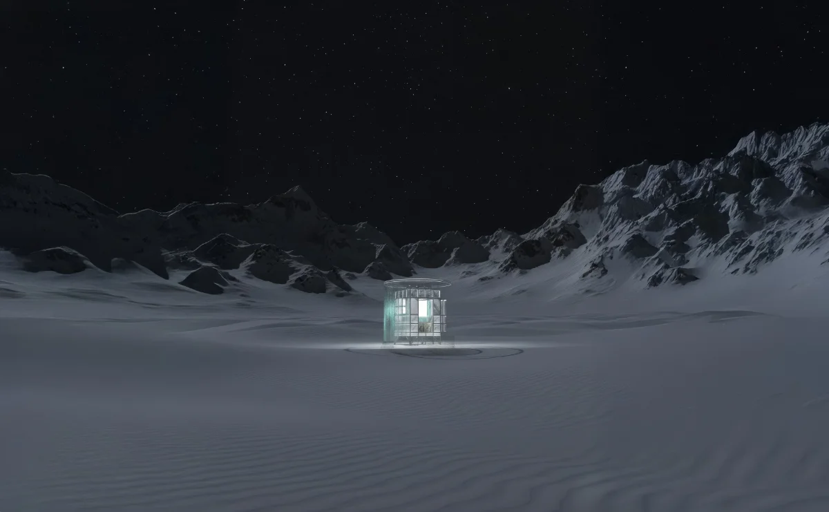 Primitive Nexus, 디지털 / 전시 · 서울, 한국 · 2026 6