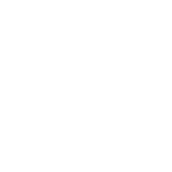 InDepth